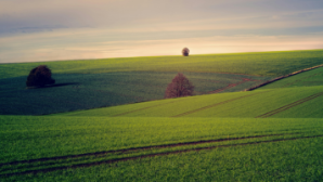 Швейцарская компания вложит более $700 млн в агропромышленный комплекс Казахстана