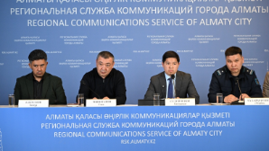 Почему важно благоустроить Рощу Баума объяснили в Алматы