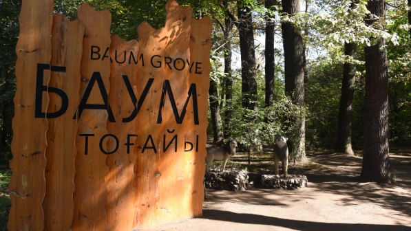 Почему важно благоустроить Рощу Баума объяснили в Алматы