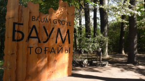 Почему важно благоустроить Рощу Баума объяснили в Алматы