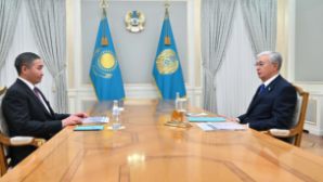 Глава государства принял учредителя группы компаний Qazaq Stroy Нурлана Артыкбаева