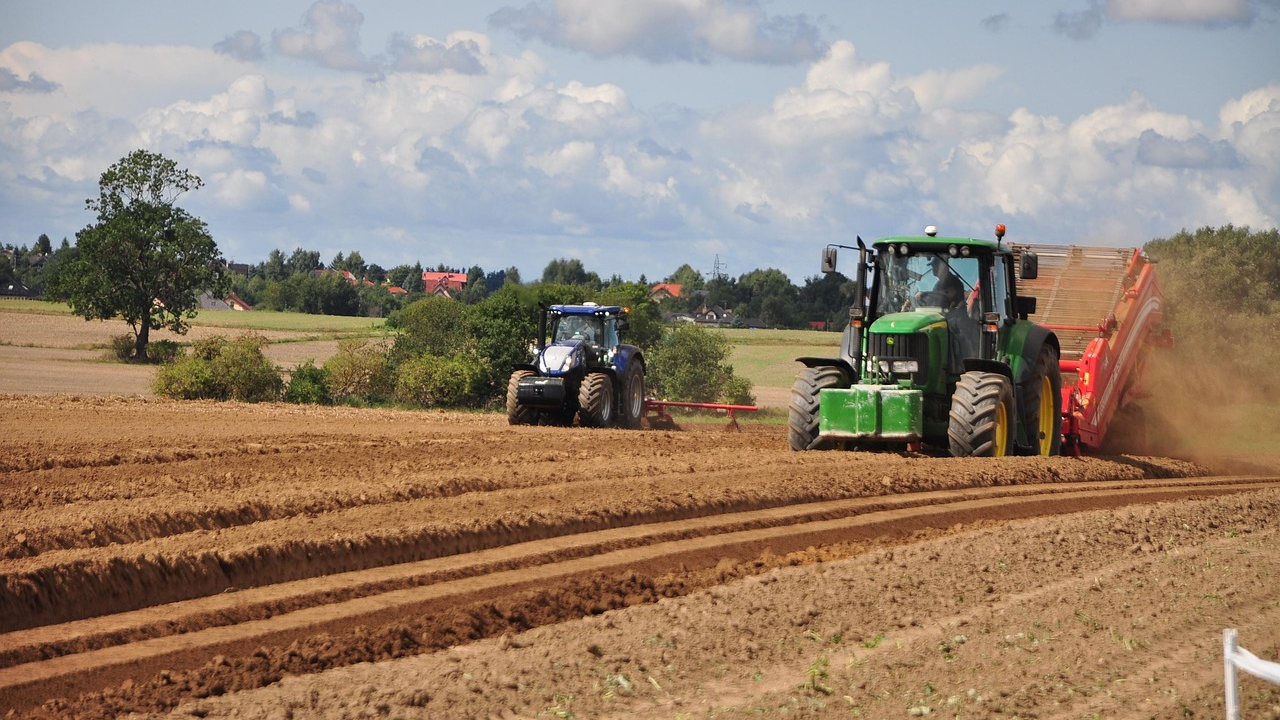 В области Жетісу сахарные заводы переработали уже 54 тыс. тонн сладкого корнеплода