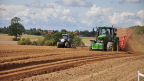 В области Жетісу сахарные заводы переработали уже 54 тыс. тонн сладкого корнеплода