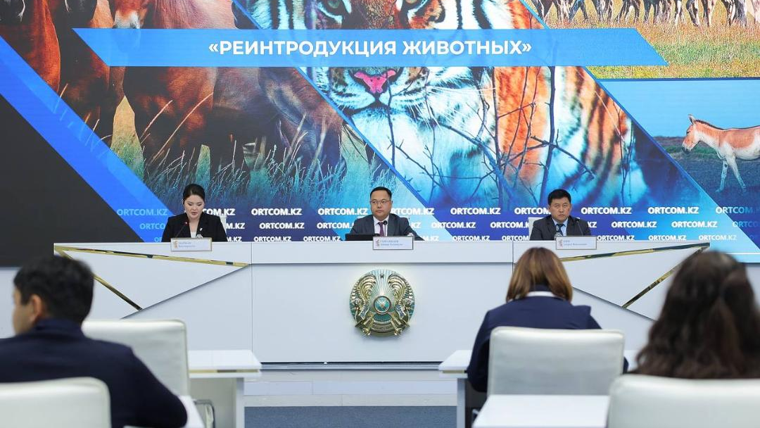 В Казахстане реализуются программы по реинтродукции животных