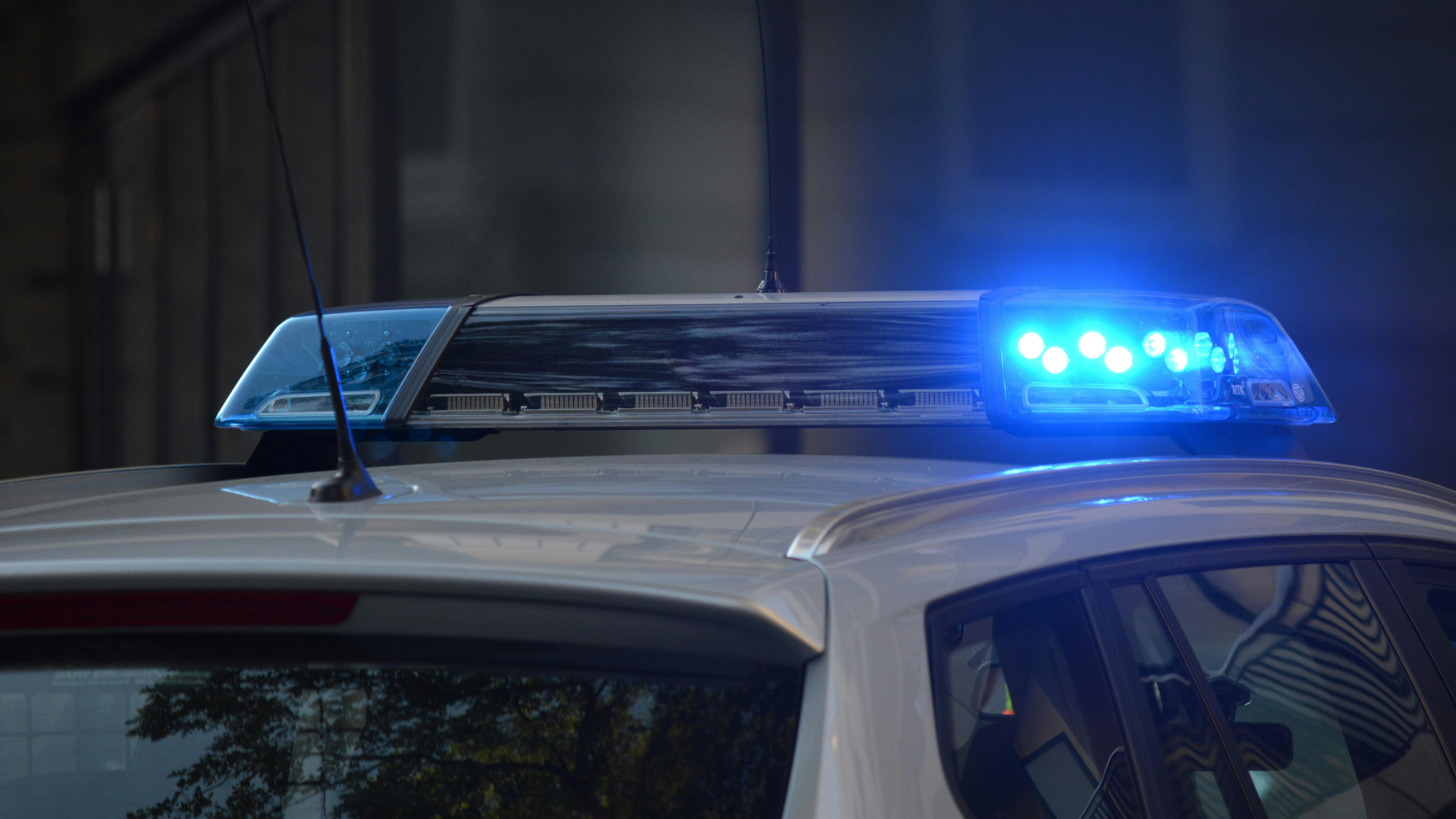 В Шымкенте ликвидирован канал поставки наркотиков из других регионов страны 