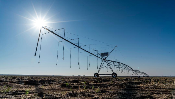 Проект по внедрению системы дождевого орошения реализуется в Жетісу