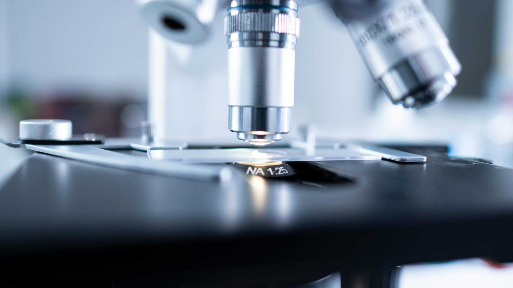 Профилактика онкологических заболеваний