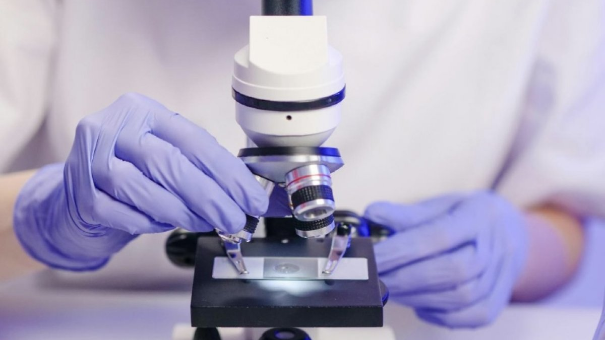 Сибирская язва в Байсерке: угрозы для жителей нет