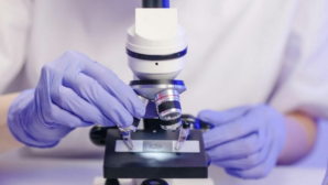 Сибирская язва в Байсерке: угрозы для жителей нет