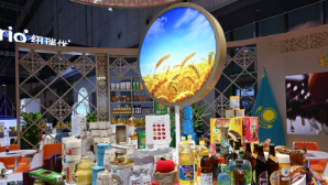 Аким Алматы посетил Международную импортную выставку в Шанхае