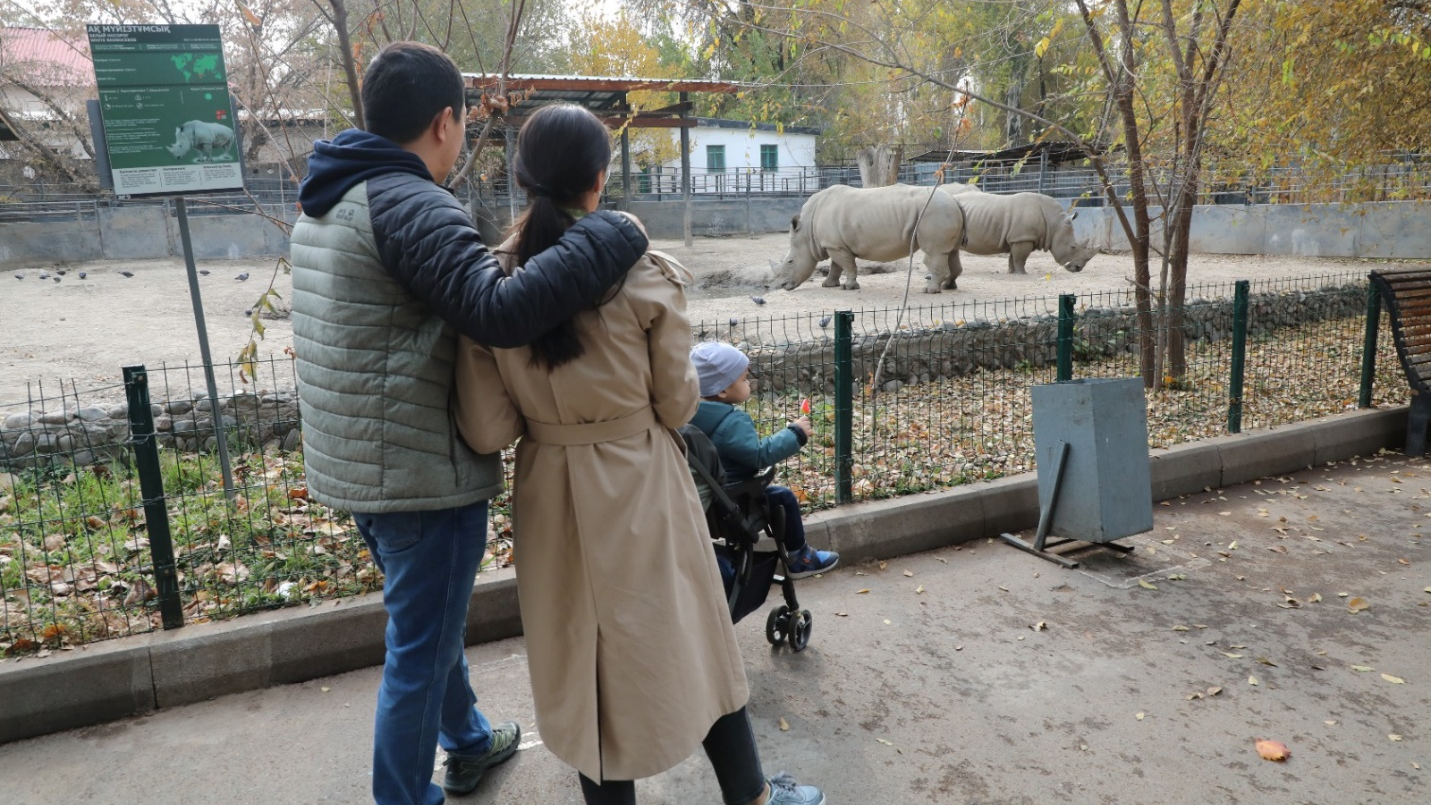 Алматинский зоопарк: история, достижения и новые горизонты