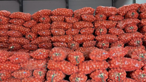 Стабфонд на 4,5 млрд тенге формируют в Актюбинской области