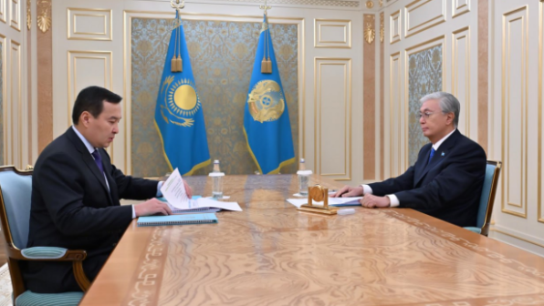 Глава государства принял председателя Высшей аудиторской палаты Алихана Смаилова