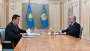 Глава государства принял председателя Высшей аудиторской палаты Алихана Смаилова