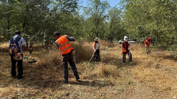 «Таза Қазақстан»: более 6 тыс. кубометров мусора убрано в Жетысуском районе Алматы