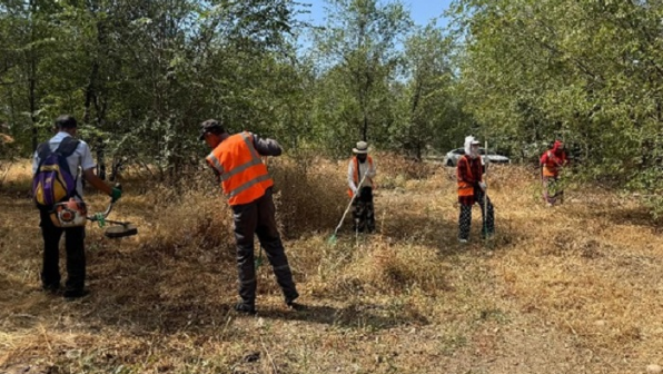 «Таза Қазақстан»: более 6 тыс. кубометров мусора убрано в Жетысуском районе Алматы