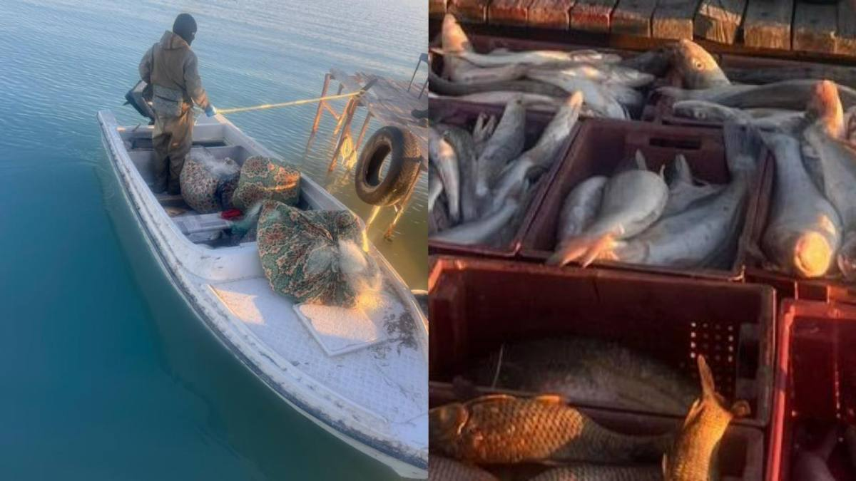 На озере Балхаш задержаны браконьеры с уловом более 250 килограммов рыбы