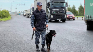 В Астане служебная собака обнаружила гашиш в авто