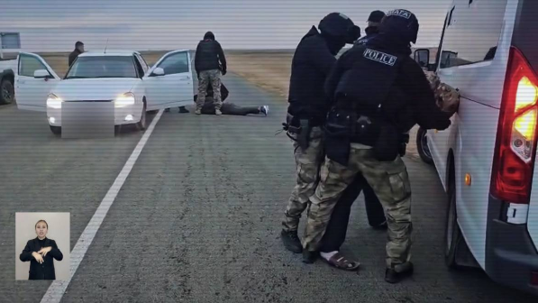 В Казахстане раскрыта деятельность четырех организованных групп скотокрадов