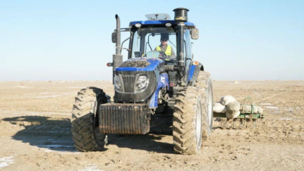 Казахстан продолжает масштабное озеленение осушенного дна Аральского моря