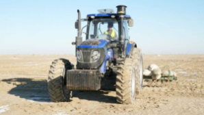 Казахстан продолжает масштабное озеленение осушенного дна Аральского моря