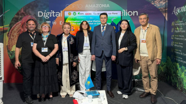 Казахстан принял участие в сессии по цифровизации углеродного рынка на полях СОР30