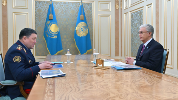 Глава государства принял министра внутренних дел Ержана Саденова