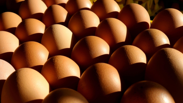 На границе Казахстана пресекли попытку незаконного ввоза партии куриных яиц из РФ