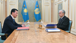 Токаев принял Государственного советника – руководителя Рабочей группы по Парламентской реформе