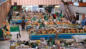 От Зеленого базара к маркетплейсам: как меняется торговля в Алматы