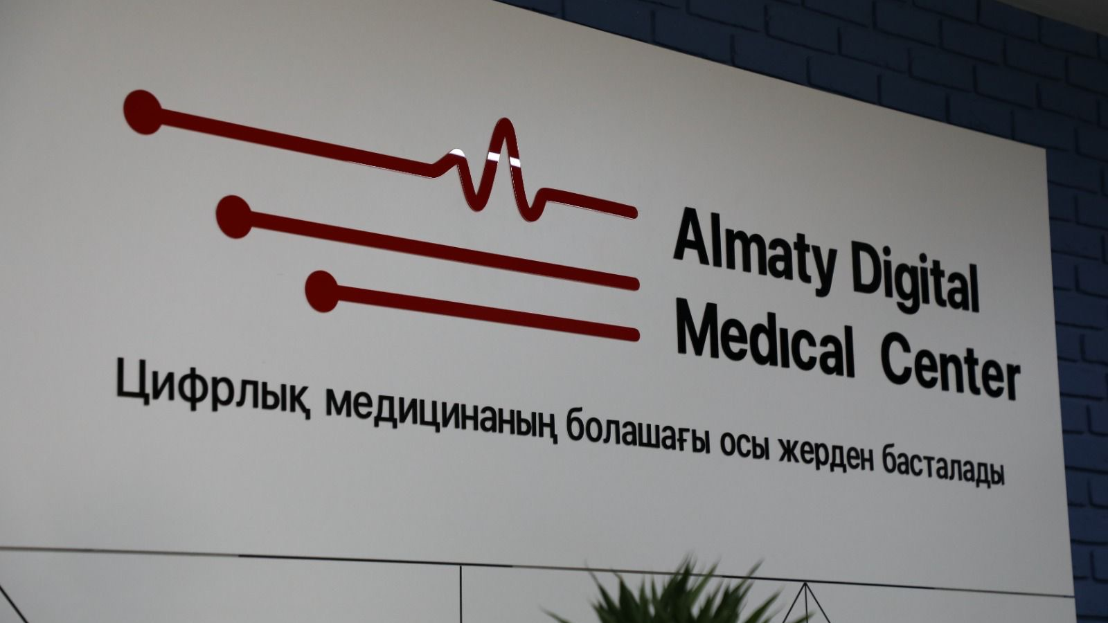 Голосовые роботы помогают алматинским поликлиникам заботиться о пациентах