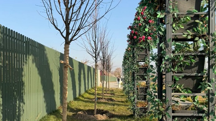 «Таза Қазақстан»: в Алматы продолжается озеленение развязки Сейфуллина–Жансугурова