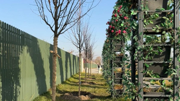 «Таза Қазақстан»: в Алматы продолжается озеленение развязки Сейфуллина–Жансугурова