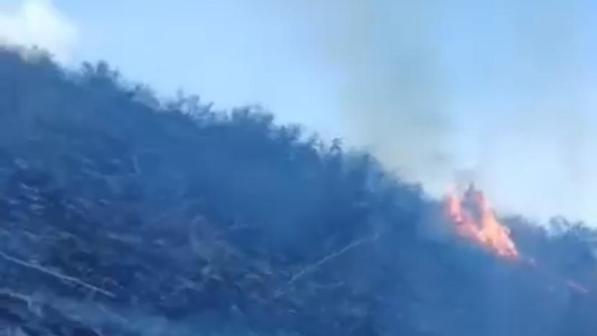 В Иле-Алатауском нацпарке ведется тушение локального возгорания