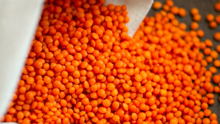 Около 230 тыс. тонн казахстанской чечевицы экспортировано в Турцию