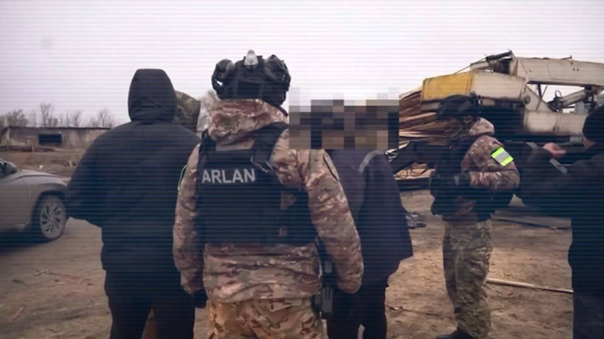 В Костанайской области задержаны 20 участников схемы по незаконной вырубке сосны