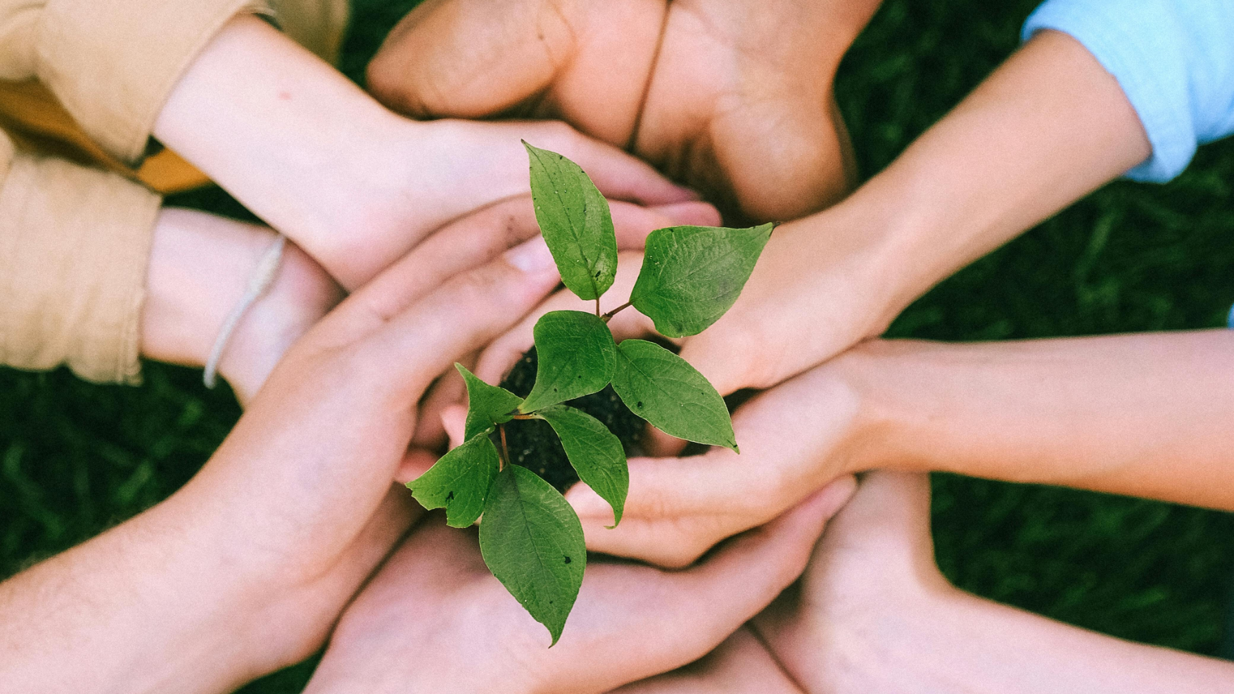 В области Абай обсудили ход реализации экологической программы «Таза Қазақстан»