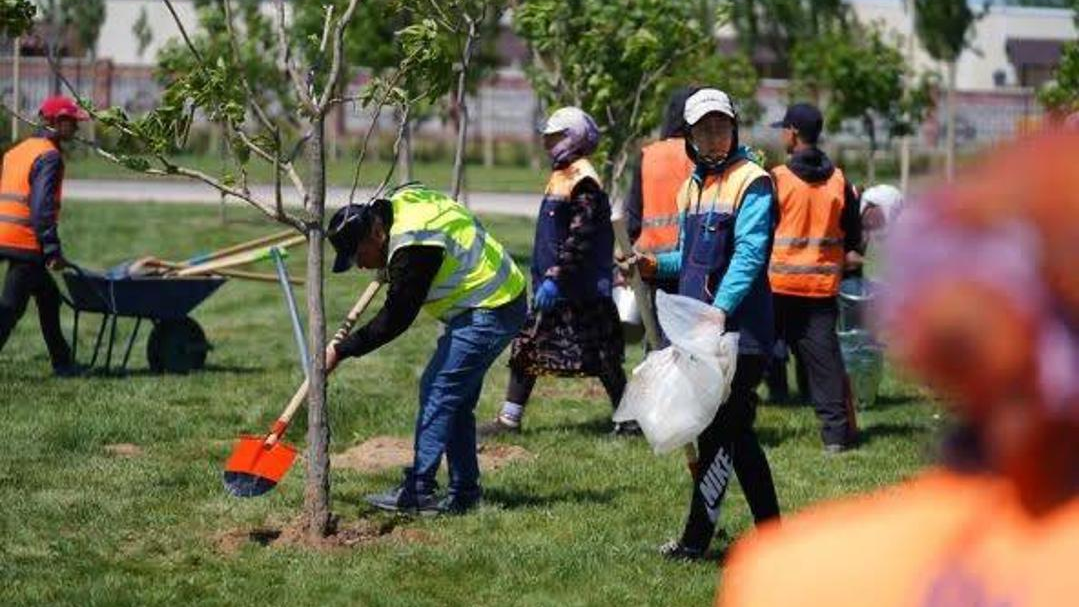 В Туркестанской области продолжается активная реализация программы «Таза Қазақстан»
