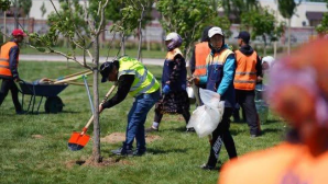 В Туркестанской области продолжается активная реализация программы «Таза Қазақстан»