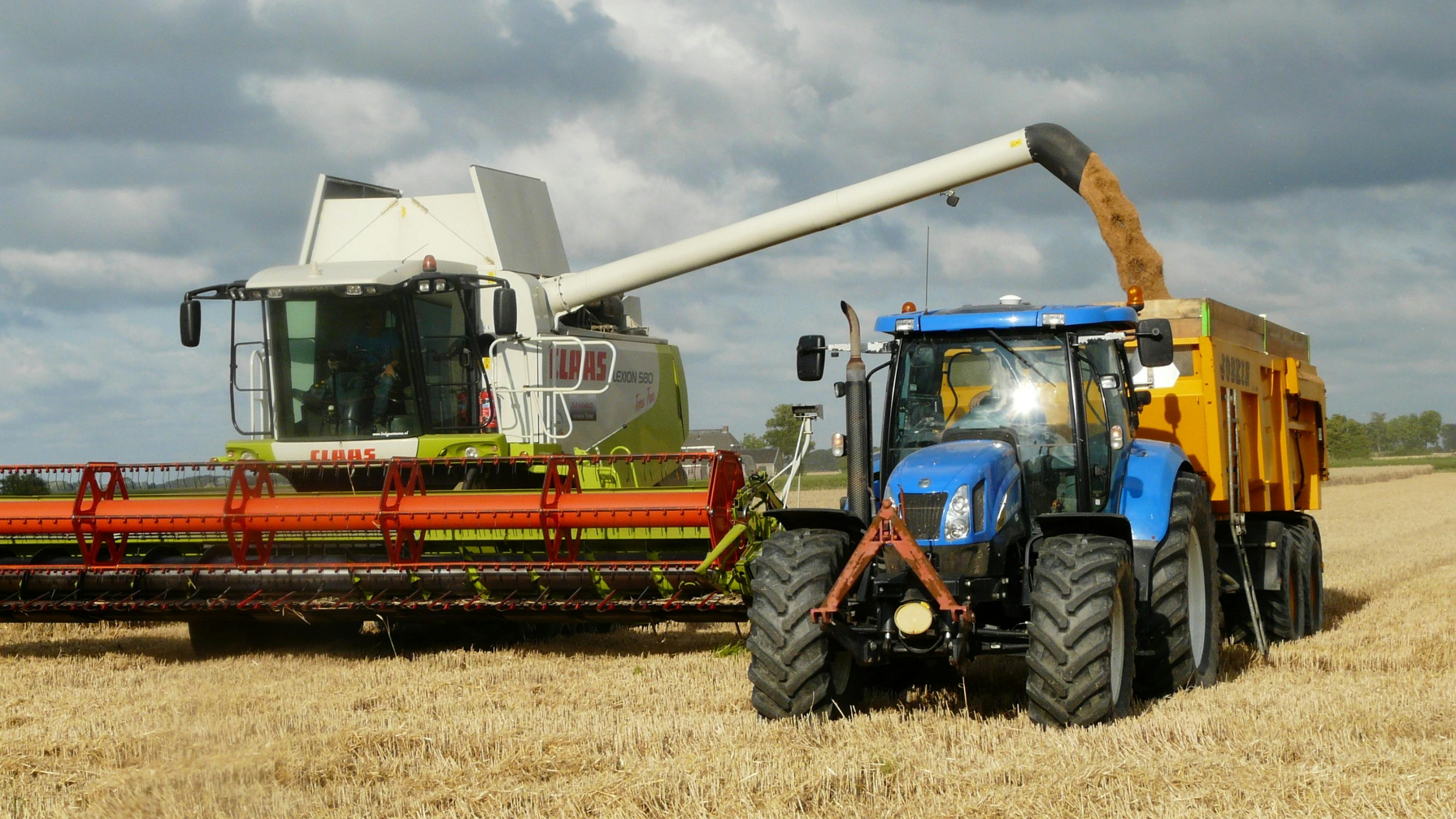 Акмолинская область стала лидером страны по валовому сбору зерновых