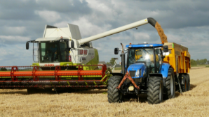 Акмолинская область стала лидером страны по валовому сбору зерновых