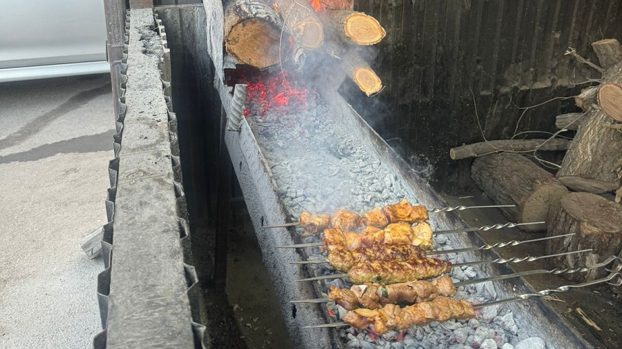 В Жетысуском районе Алматы пресекли незаконную работу «коптящихся» шашлычных