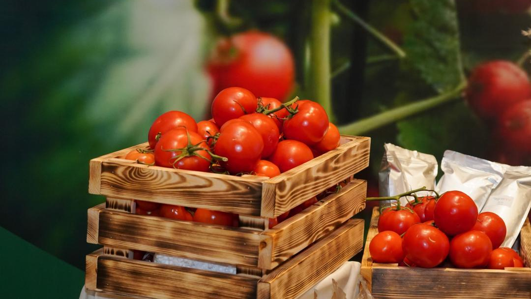 Тепличный комплекс построят в Шымкенте