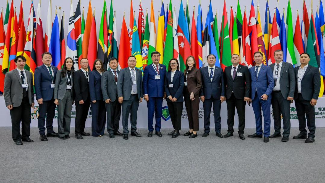 Казахстан добился снятия нулевой квоты на экспорт рогов сайгака