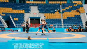 В Алматы прошел чемпионат Казахстана по видам борьбы