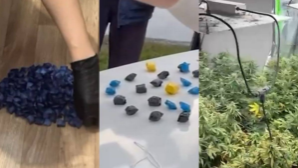 За 2025 год в Алматы выявлено порядка 600 наркопреступлений