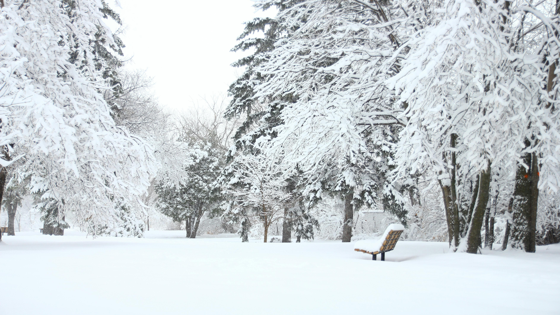 Учащиеся 0-9-х классов перешли на дистанционку из-за непогоды в Астане 