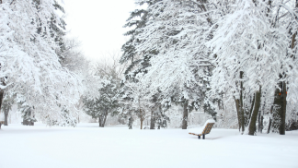 Учащиеся 0-9-х классов перешли на дистанционку из-за непогоды в Астане 