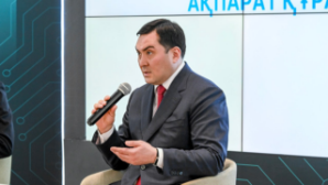 350 тыс. человек получили доступ в 95 населенных пунктах к газу за прошедший год: итоги работы Правительства в области энергетики