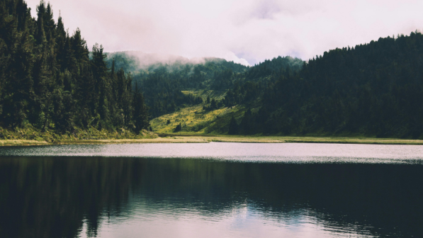 До 1,5 тыс. км в год выросли темпы механизированной очистки ирригационных каналов в Казахстане